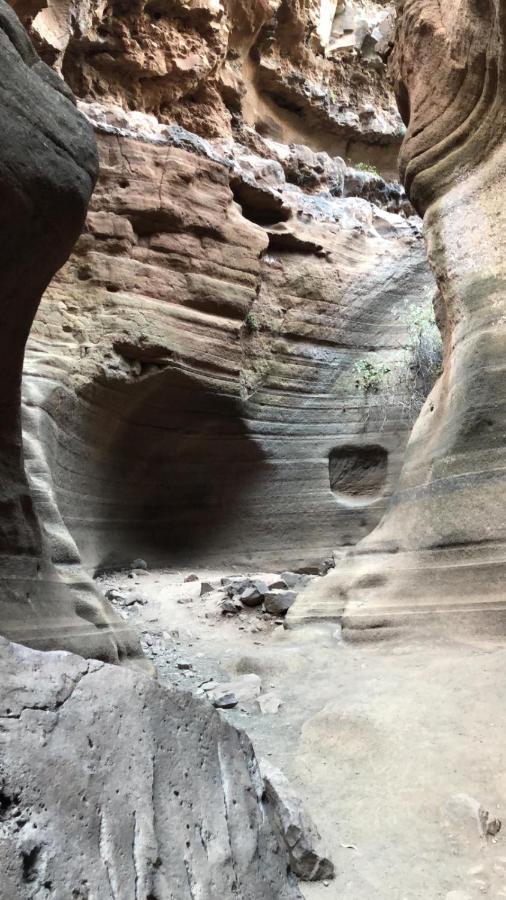 La Cuadra Finca El Calabrés Agüimes Extérieur photo