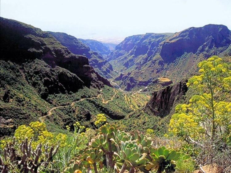 La Cuadra Finca El Calabrés Agüimes Extérieur photo